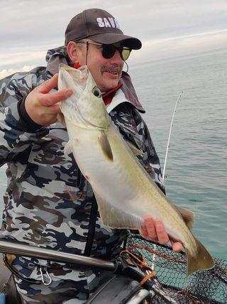 147529990 3672193049485311 4710911584056062892 o