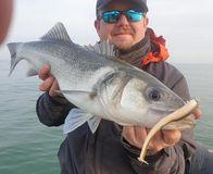 171555496 10223351185624199 8039860534451039037 n