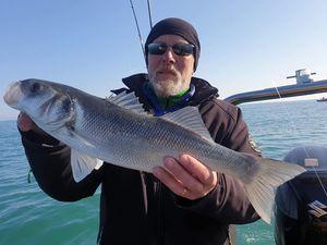 176246623 1704955593024523 485479505872513755 n