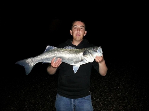 10858350 772798459424153 1507065793444296725 n