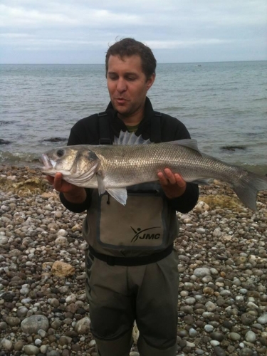 11811318 887314821305849 887935467698485480 n