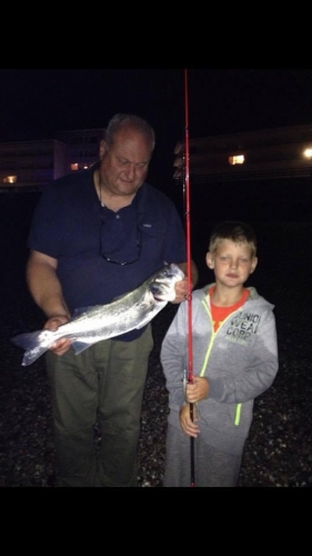 12369262 944409832263014 5058043239238044645 n