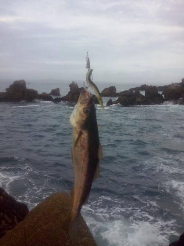 12376229 944410435596287 1704957738081711286 n