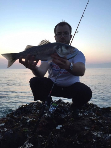 13335519 1040742619296401 4628810826604972878 n