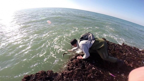 1512812 772798799424119 8682999813796649010 n