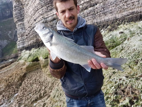 18221875 1345775818793078 1442717472217554114 n