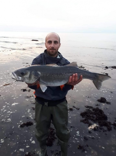 88321364 2840515342652444 5947860905537568768 n