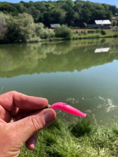 101663208 3081520448537375 115005252658266112 n