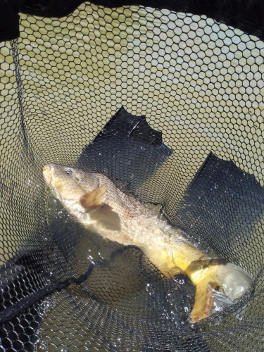 105294655 3041607462543876 7592267297999940759 o