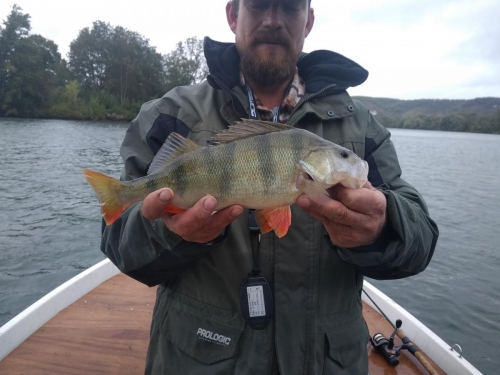 120260714 629788367925791 4386656657162079309 o