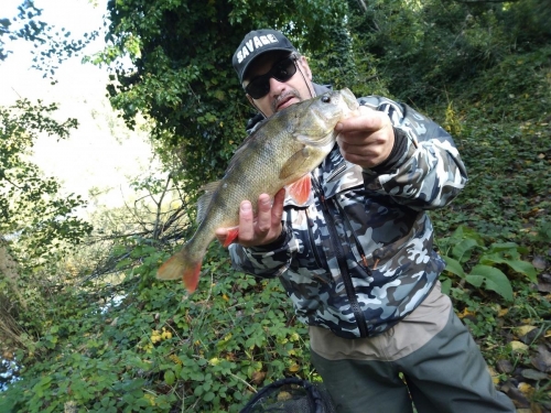 122802885 3403592089678743 7597852767518764146 o