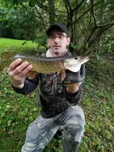 124816226 3351921381599899 2029241172906834105 o