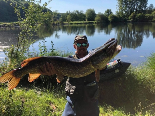 125190759 3351917434933627 4613017996305119868 o