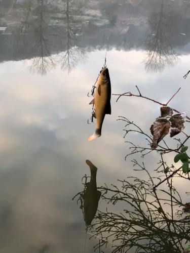 125209028 3557351784287570 3409229394865109917 n