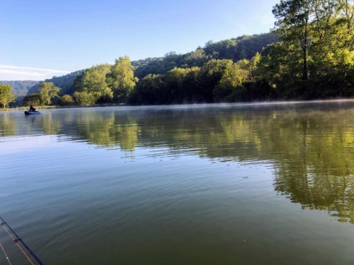 125213124 3557344990954916 6044738885382892182 n