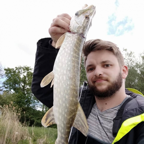 60355227 10219839542958925 2746388344614158336 n