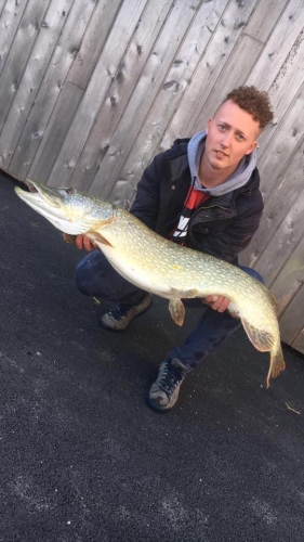 64435344 1122519784617720 210353788622471168 n