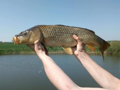 FB IMG 1601756690243