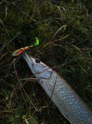 134803925 3577944538910163 5351384849951300638 o