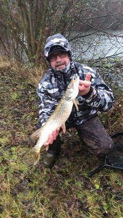 141985808 3635971616440788 5170678986530669232 o