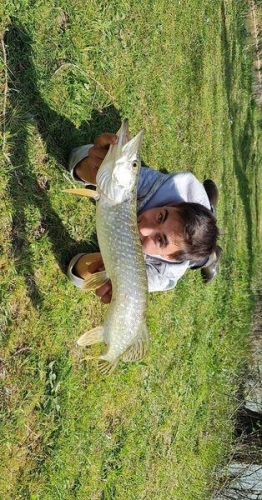 177993339 937688327018230 1592407231080315229 n