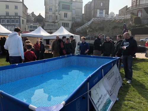 29570513 1851189461579672 4781957953919177219 n