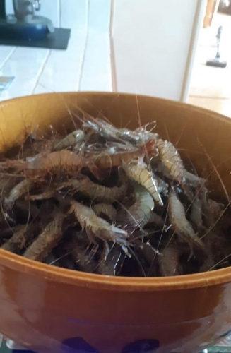 FB IMG 1601752754288