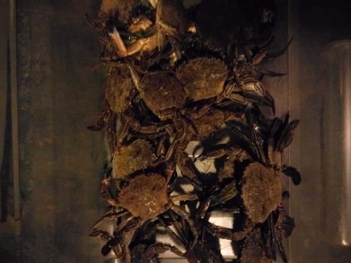 FB IMG 1601753403729