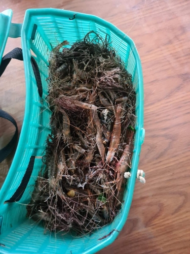 received 348180376256553