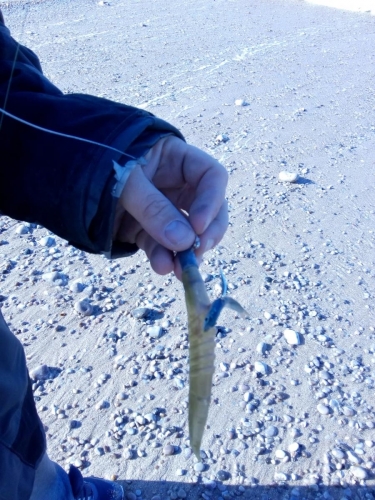 120601940 709490886323859 7632672475604513148 n