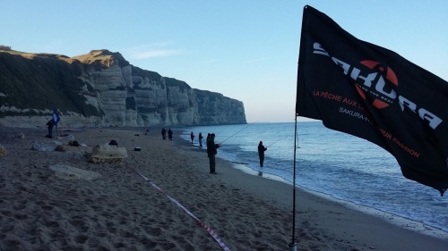 44519391 2145308248834457 6014380375470505984 o - Copie