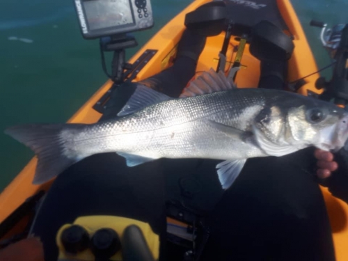 100471437 10222284990089768 1286660348048310272 n