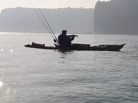 FB IMG 1525959020485