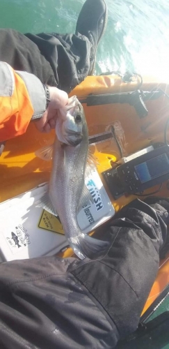 175070999 1495866024077768 1018590643149316287 n