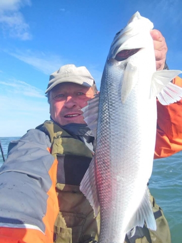 175710975 1495866247411079 561396557753061289 n