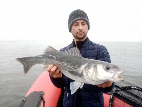 125302825 10221615735935706 7632547976355772348 o