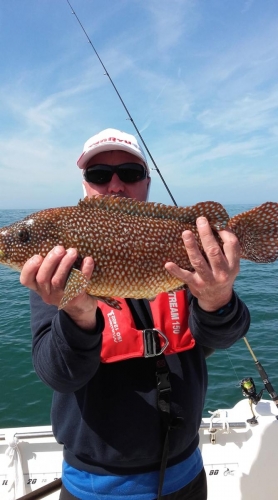 125332453 3957899927573435 6253392788665311079 o