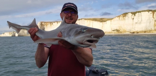 125340950 386098249260834 2076060771296216414 o