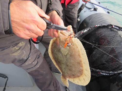 69923477 2256368597990036 7006021533080485888 o